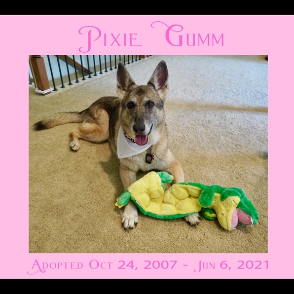 Meet Posher, Felicia! Always Ask if you’re looking for something! - Picture 16 of 17